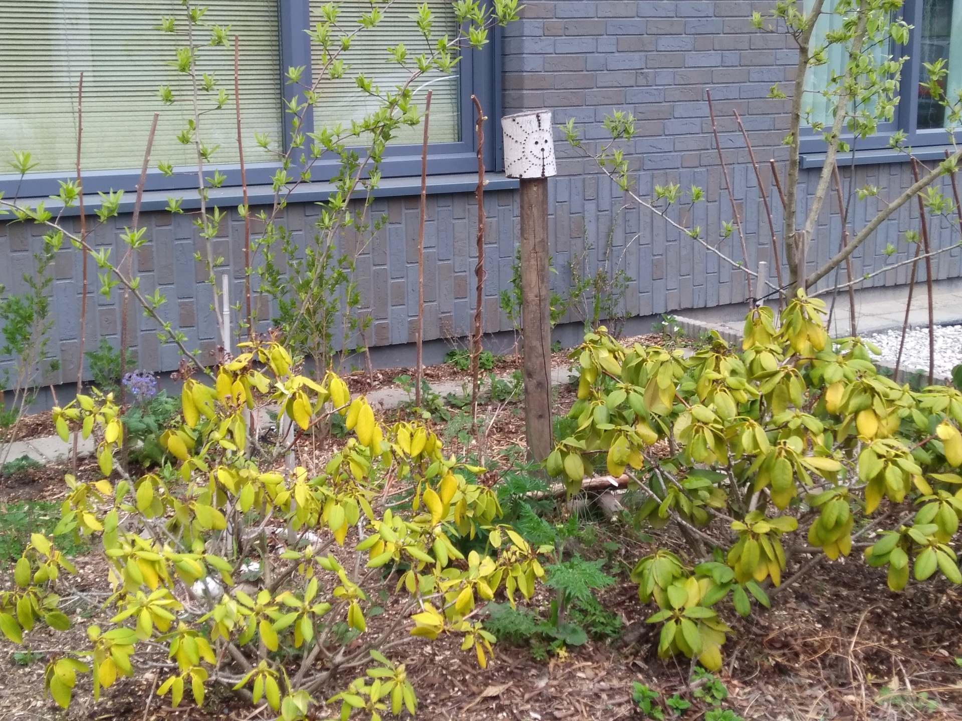 Jessica Column Maart 2022 (6)